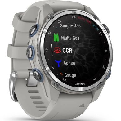 Смарт-годинник Garmin Descent Mk3 43 mm Stainless Steel with Fog Gray Silicone Band (010-02753-04/03)