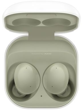 Наушники TWS Samsung Galaxy Buds2 Olive (SM-R177NZGA)