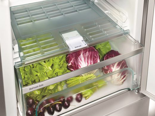 Двокамерний холодильник Liebherr SBNes 4285