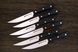 Набор ножей из 6 предметов Samura Harakiri (SHR-0260B) - 3