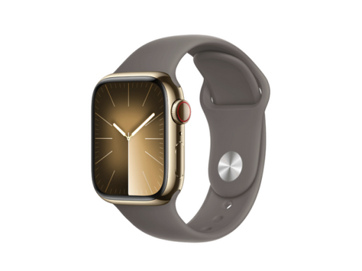 Смарт-годинник Apple Watch Series 9 GPS + Cellular 45mm Graphite S. Steel Case w. Midnight S. Loop (MRQN3+MT593)