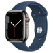 Смарт-часы Apple Watch Series 7 GPS + Cellular 45mm Graphite S. Steel Case w. Abyss Blue S. Band (MKJH3)