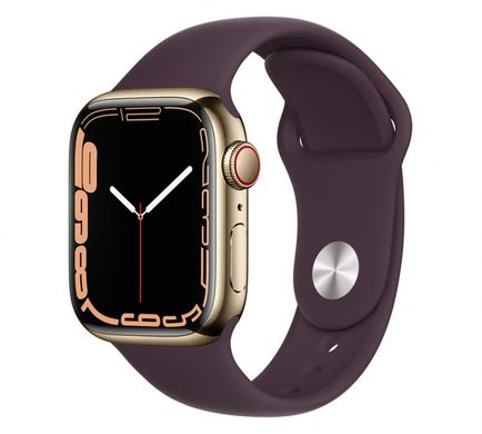 Смарт-часы Apple Watch Series 7 GPS + Cellular 45mm Graphite S. Steel Case w. Abyss Blue S. Band (MKJH3)