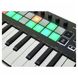 MIDI-клавиатура Novation Launchkey Mini MK3 - 2