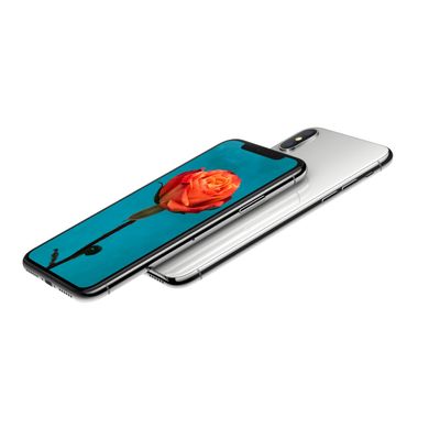 Смартфон Apple iPhone X 64GB Silver (MQAD2)