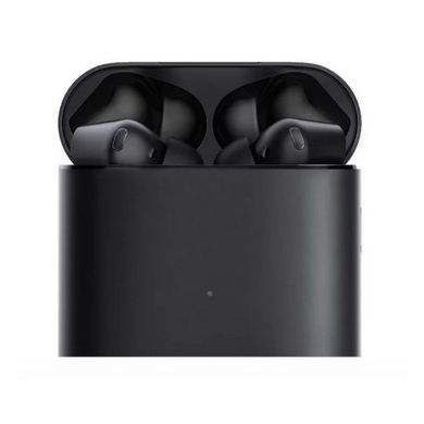 Навушники з мікрофоном Xiaomi Mi True Wireless Earphones 2 Pro Black (TWSEJ10WM)