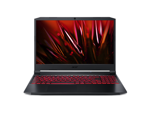 Ноутбук Acer Nitro 5 AN515-56 (NH.QAMEP.00Q)