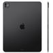 Планшет Apple iPad Pro 13 2024 Wi-Fi + Cellular 256GB Silver (MVXT3) (no LTE) - 2