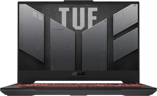 Ноутбук ASUS TUF Gaming A15 FA507NU Mecha Gray (FA507NU-LP101) (Custom 32GB/1TB)
