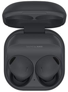 Навушники TWS Samsung Galaxy Buds2 Pro Graphite (SM-R510NZAA)