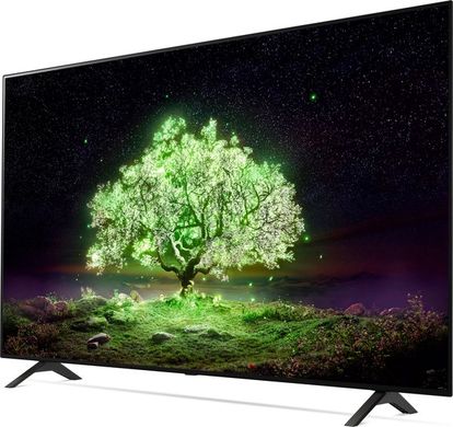 Телевизор LG OLED65A1