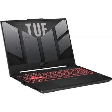 Ноутбук ASUS TUF Gaming A15 FA507NV (FA507NV-LP025) (Custom 32GB/1TB)