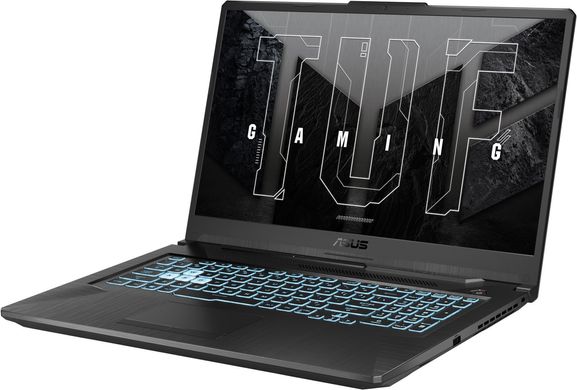 Ноутбук Asus TUF Gaming F17 FX706HM (FX706HM-HX005)