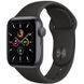 Смарт-часы Apple Watch SE GPS 40mm Space Gray Aluminum Case w. Black Sport B. (MYDP2) - 1