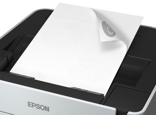 Принтер Epson M1180 (C11CG94405)