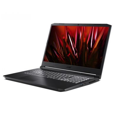 Ноутбук Acer Nitro 5 AN517-41-R1HA (NH.QAPEP.008)