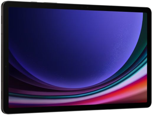 Планшет Samsung Galaxy Tab S9 12/256GB Wi-Fi Graphite (SM-X710NZAE)