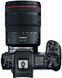 Беззеркальный фотоаппарат Canon EOS R body (3075C065) - 4