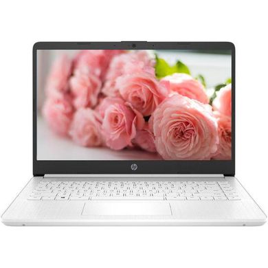 Ноутбук HP 14-DQ0052 (685K1UA)