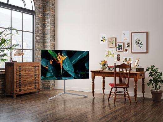Телевізор LG OLED55G1
