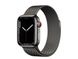 Смарт-часы Apple Watch Series 7 GPS + Cellular 41mm Graphite Stainless Steel Case with Graphite Milanese Loop (MKHK3) - 1