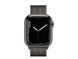 Смарт-часы Apple Watch Series 7 GPS + Cellular 41mm Graphite Stainless Steel Case with Graphite Milanese Loop (MKHK3) - 2