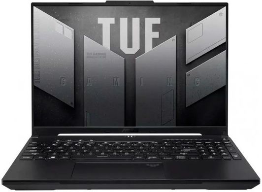 Ноутбук ASUS TUF Gaming A16 Advantage Edition FA617NS (FA617NS-A16.R77600)