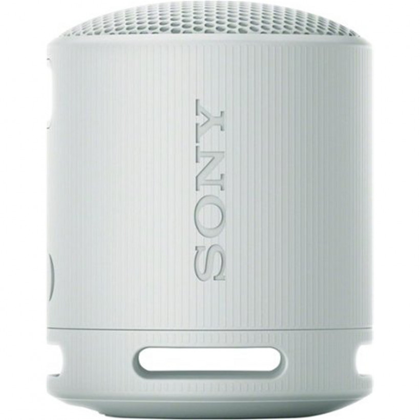 Портативная колонка Sony SRS-XB100 Grey (SRSXB100H.CE7)