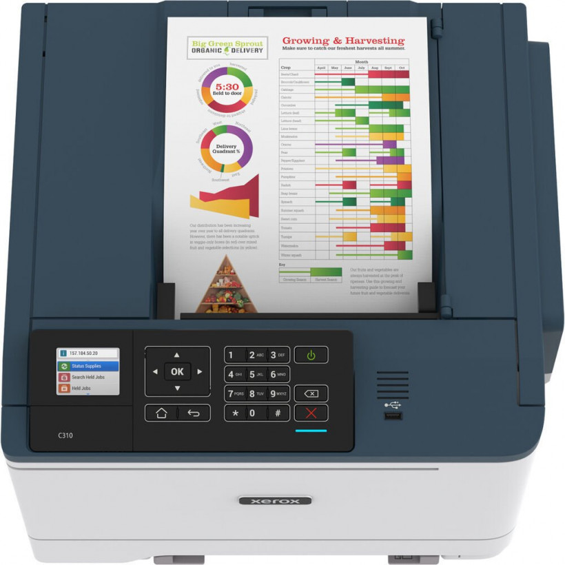 Принтер Xerox C310 + Wi-Fi (C310V_DNI)  Фото №0