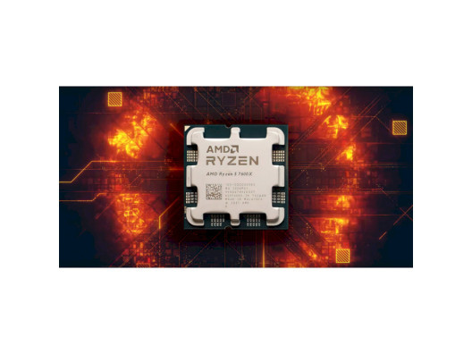 Процессор AMD Ryzen 5 7600X (100-100000593WOF)  Фото №1