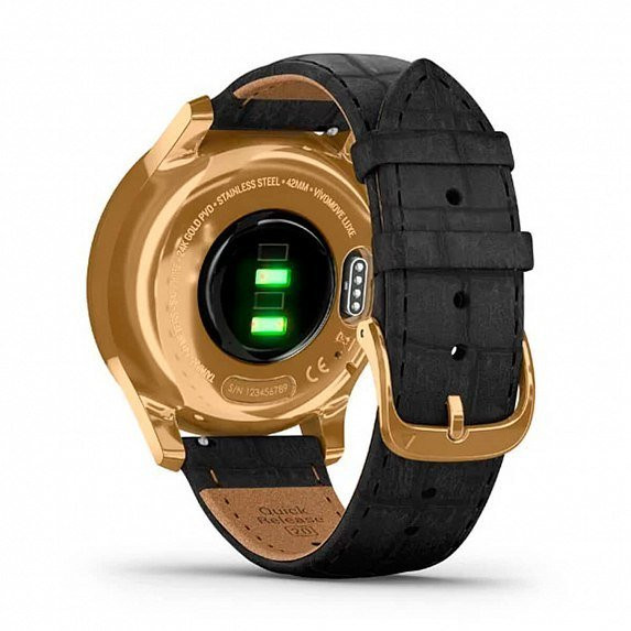 Смарт-часы Garmin vivomove Luxe Pure Gold-Black Leather (010-02241-22)  Фото №0