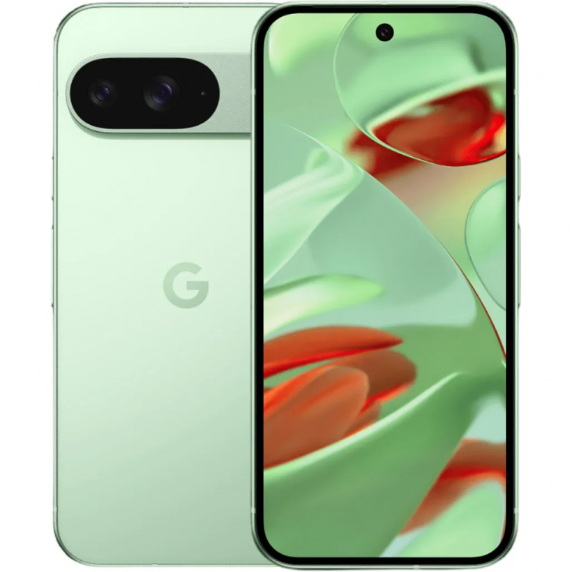 Смартфон Google Pixel 9 12/256GB Wintergreen