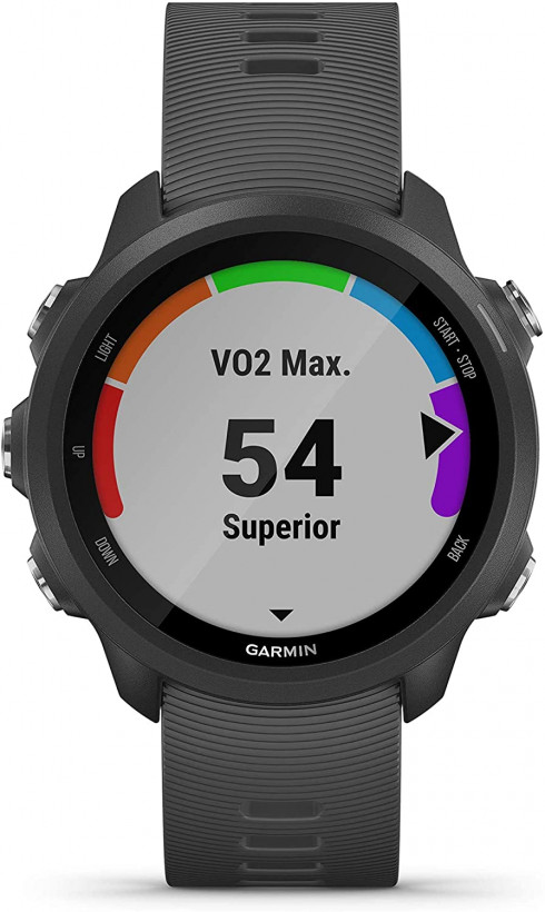 Спортивний годинник Garmin Forerunner 245 Slate Gray (010-02120-00)  Фото №0