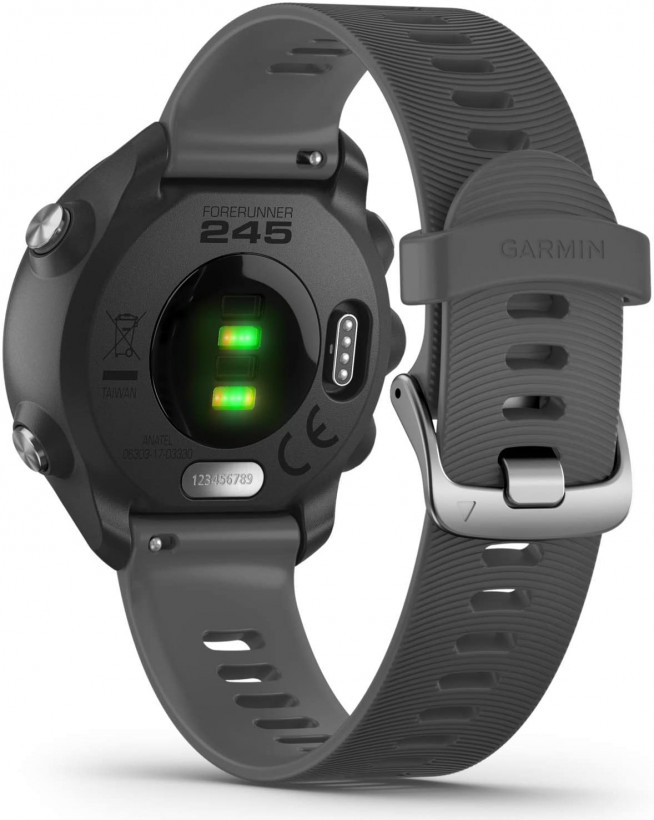 Спортивний годинник Garmin Forerunner 245 Slate Gray (010-02120-00)  Фото №1