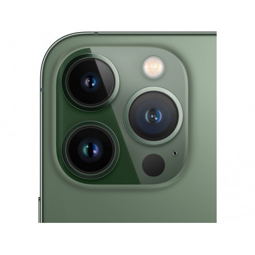 Смартфон Apple iPhone 13 Pro Max 1TB Alpine Green (MNCT3)  Фото №1