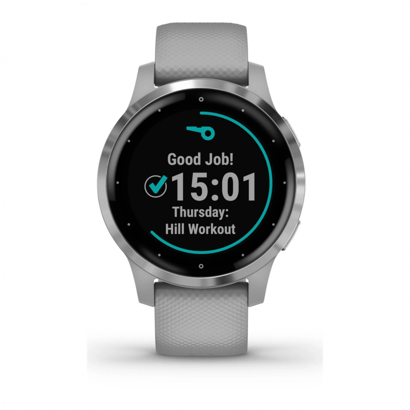 Смарт-часы Garmin vivoactive 4S Powder Gray/Silver (010-02172-03/010-02172-01)  Фото №0