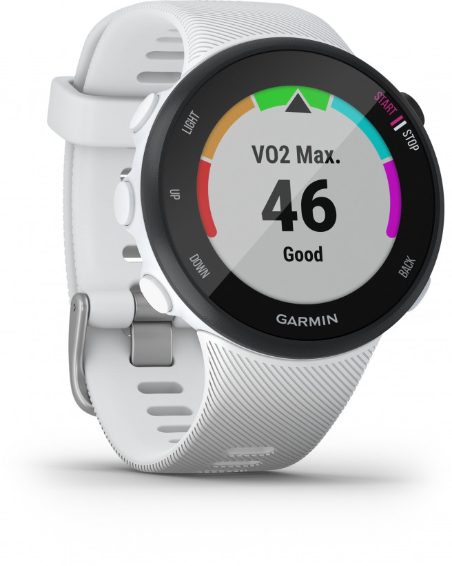 Спортивний годинник Garmin Forerunner 45s White (010-02156-00/10)  Фото №1