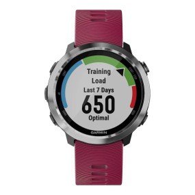 Смарт-годинник Garmin Forerunner 645 Music With Cerise Colored Band (010-01863-31/21)