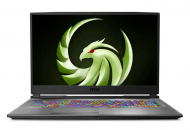 Ноутбук MSI Alpha 17 A4DEK (A4DEK-021US) 