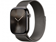 Смарт-часы Apple Watch Series 10 GPS + Cellular 46mm Slate Titanium Case w. Slate Milanese Loop - S/M (MC7R4) 