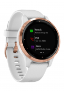 Смарт-годинник Garmin vivoactive 4S White/Rose Gold (010-02172-23/22/21) 