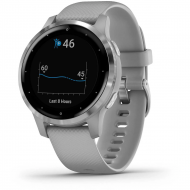 Смарт-часы Garmin vivoactive 4S Powder Gray/Silver (010-02172-03/010-02172-01) 