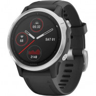 Спортивные часы Garmin Fenix 6S Silver (010-02159-01)