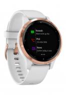 Смарт-часы Garmin vivoactive 4S White/Rose Gold (010-02172-23/22/21)