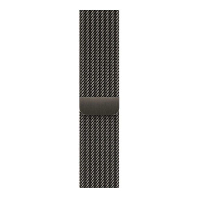 Смарт-часы Apple Watch Series 9 GPS + Cellular 45mm Graphite S. Steel Case w. Graphite Milanese Loop (MRMX3)  Фото №2