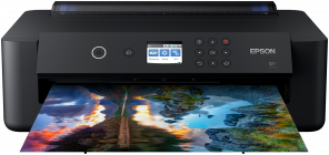 Принтер Epson Expression Photo HD XP-15000 (C11CG43402)
