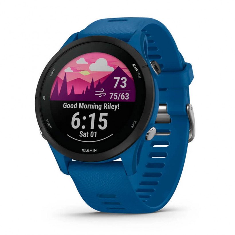 Смарт-часы Garmin Forerunner 255 Tidal Blue (010-02641-01/11)  Фото №0