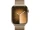 Смарт-годинник Apple Watch Series 9 GPS + Cellular 45mm Gold S. Steel Case w. Gold Milanese Loop (MRMU3)  Фото №3