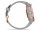 Спортивные часы Garmin Fenix ??6S Rose Gold-tone with Powder Gray Band (010-02159-21/20)  Фото №2