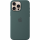 Чохол для смартфона Apple iPhone 16 Silicone Case with MagSafe - Lake Green (MYY83)